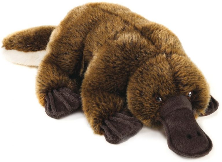 Procione - Peluche - Venturelli - Giocattoli