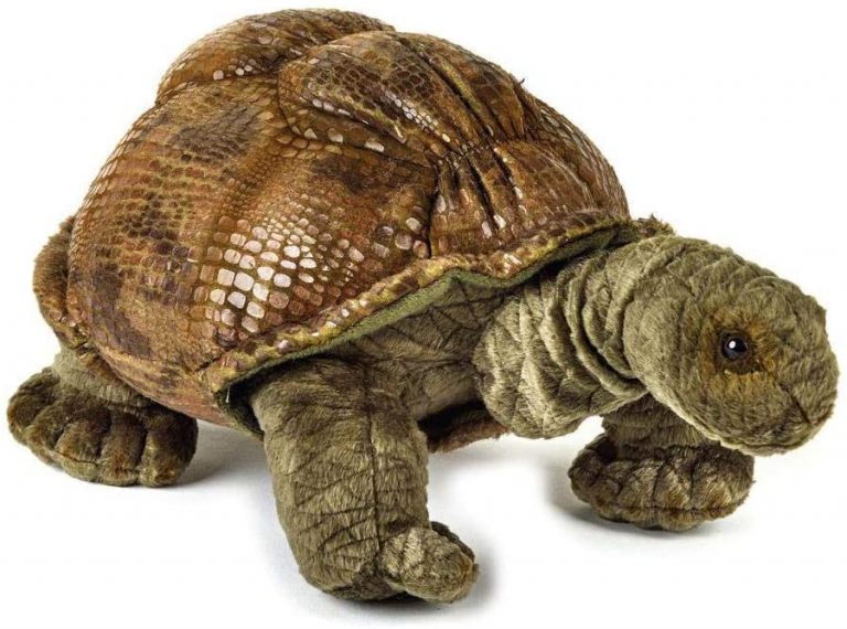Peluche Tortuga Almohada Felpa 30cm Extra Suave | Cuotas Sin Interés