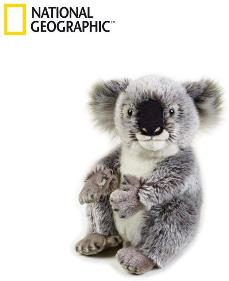 Peluche koala grise oreiller en livraison gratuite | Économisez 30% sur