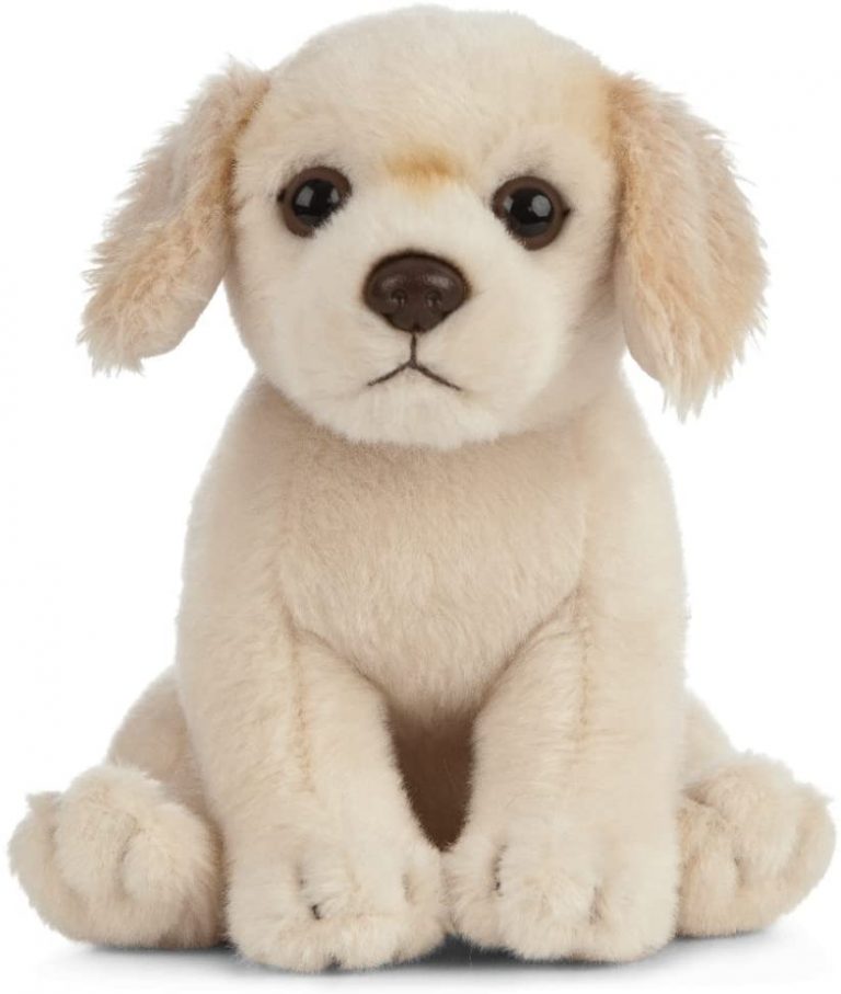 Peluche - Lil'pup golden retriever | Éditions Vaudreuil